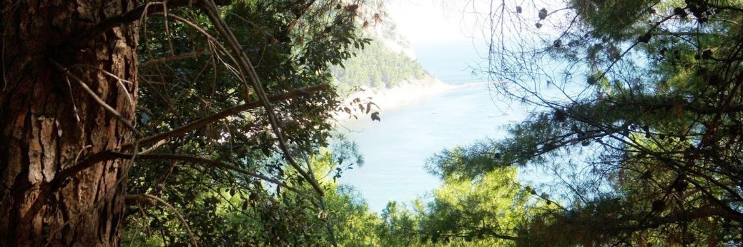 maurobolis's profile banner image
