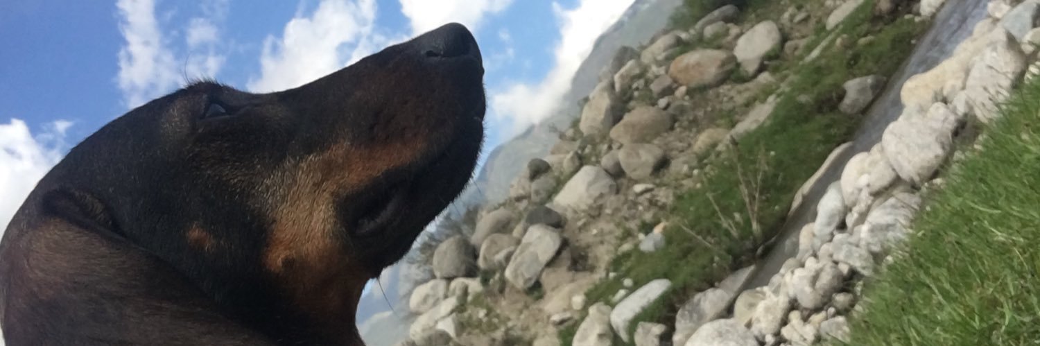 guaquintero93's profile banner image