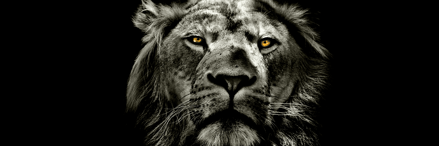 abbsfit's profile banner image