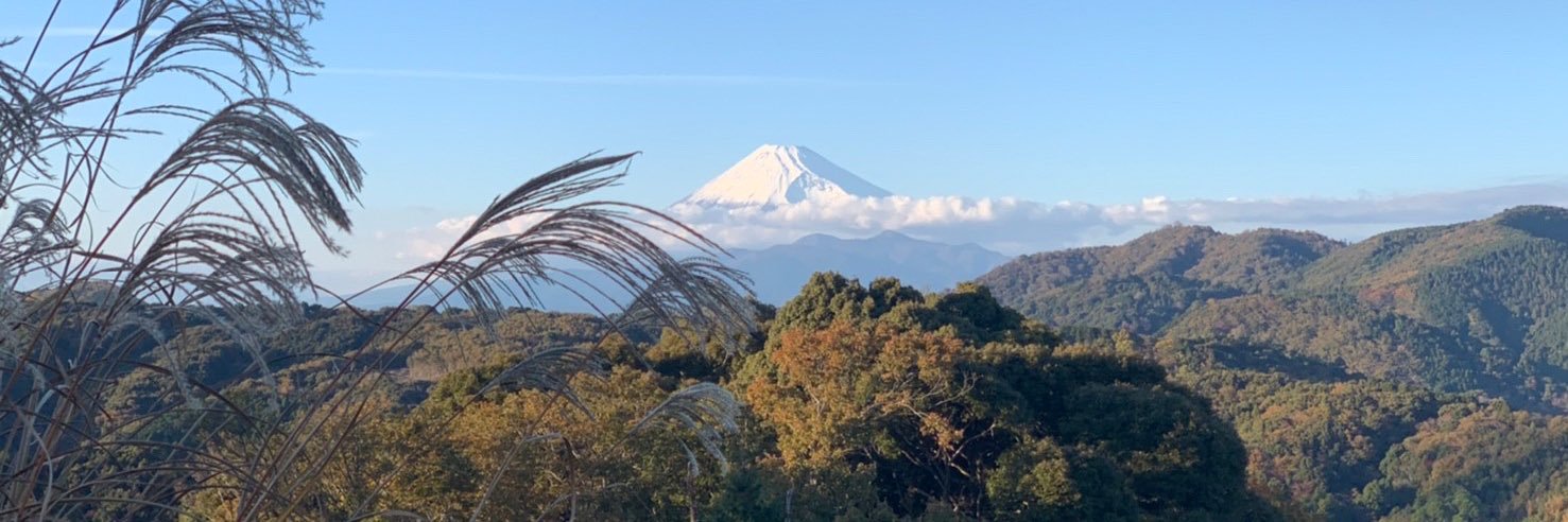 jyou310's profile banner image
