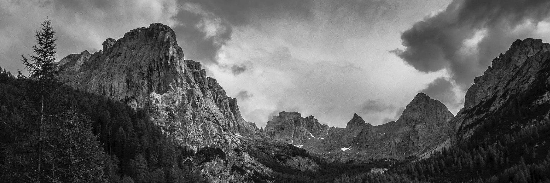 Maarten Toner banner