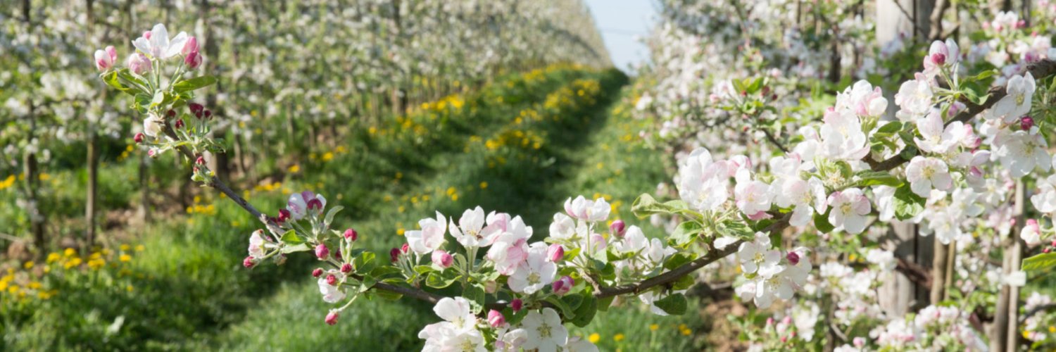 Label BEE FRIENDLY banner