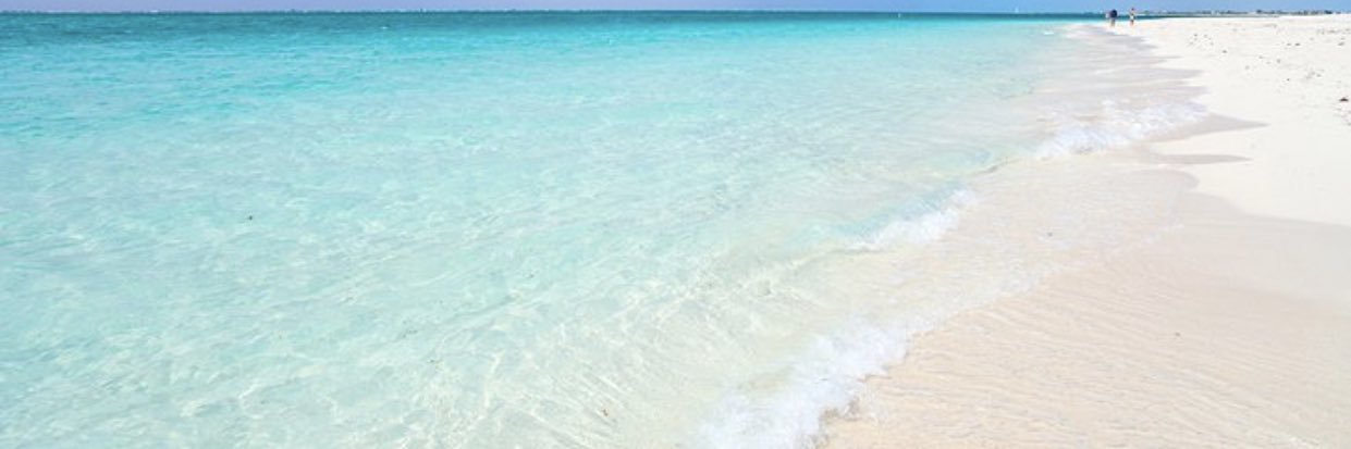breefranklins's profile banner image