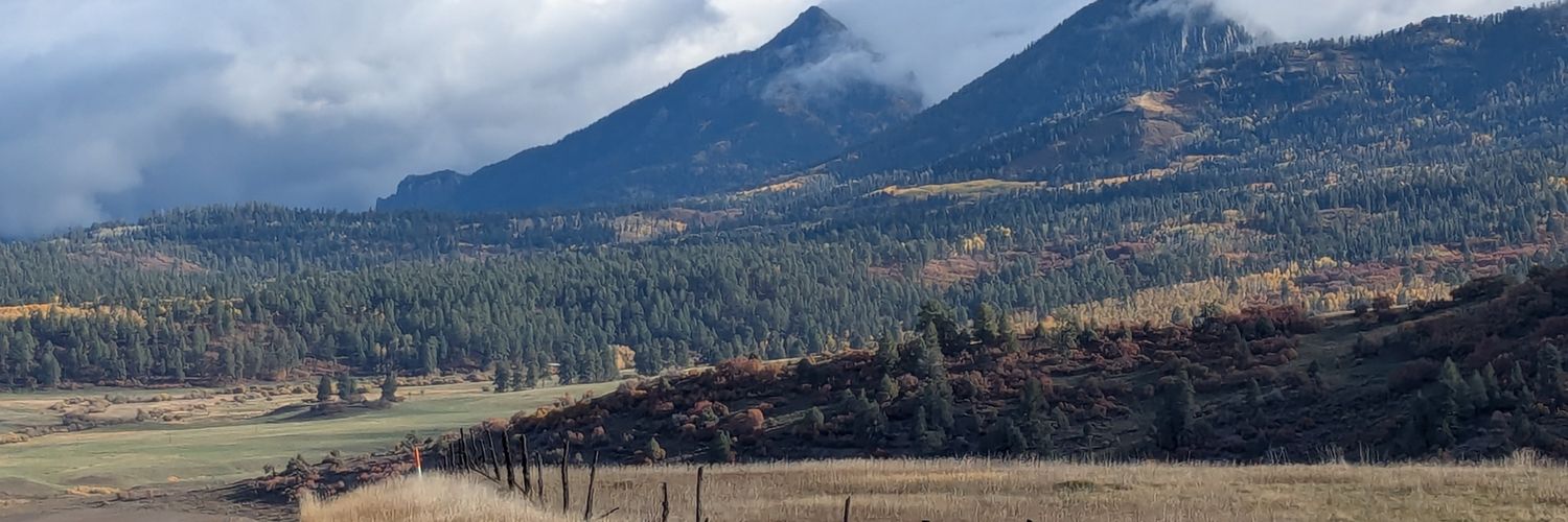 Fate is Fully Fixed banner