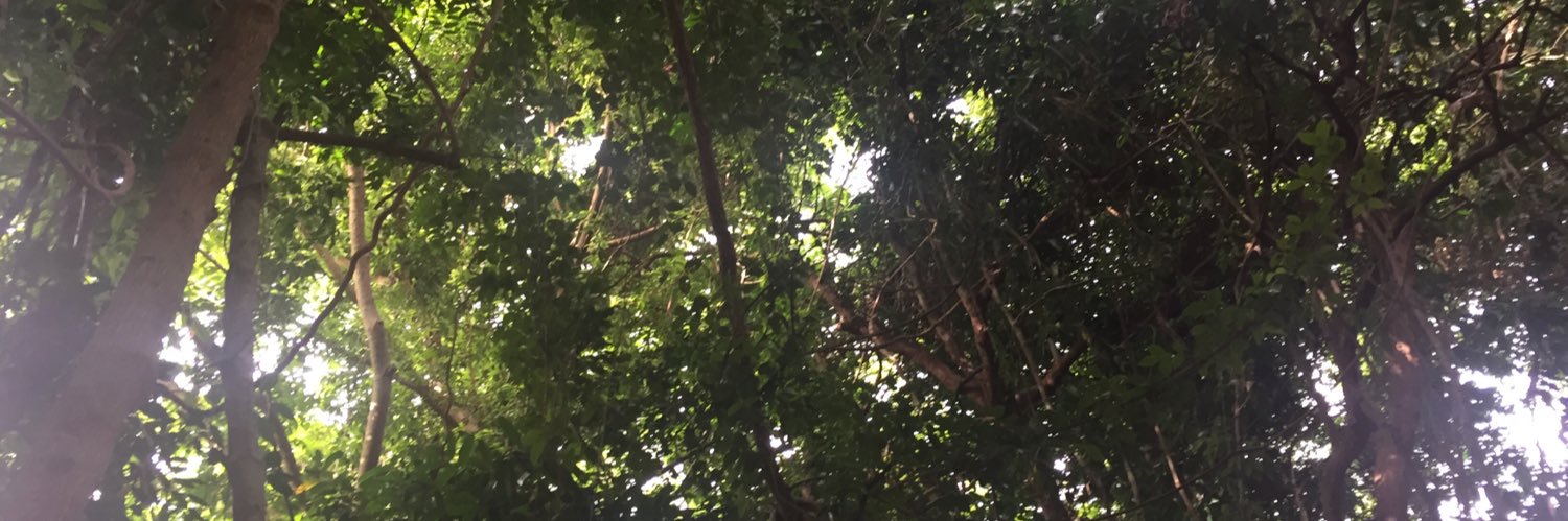 pknair2's profile banner image