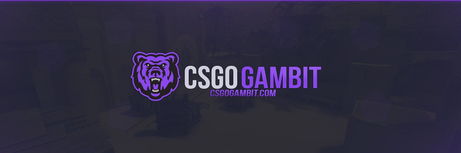 CSGOGambit 🐾 banner