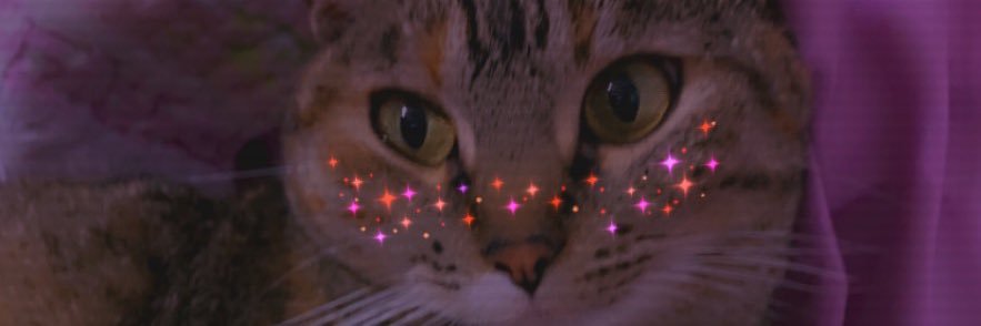 Susan_Andre1's profile banner image