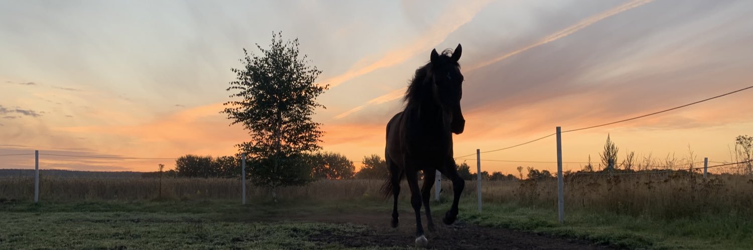 JSandkvist's profile banner image