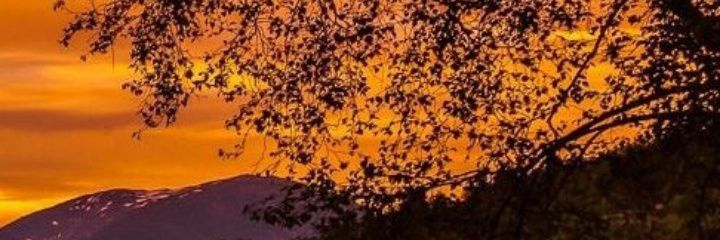 Halimeyahmed's profile banner image