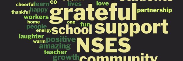 STARSofNorthSt Profile Banner