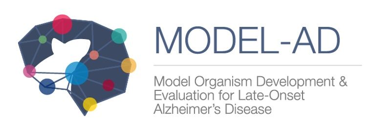 MODEL-AD's banner
