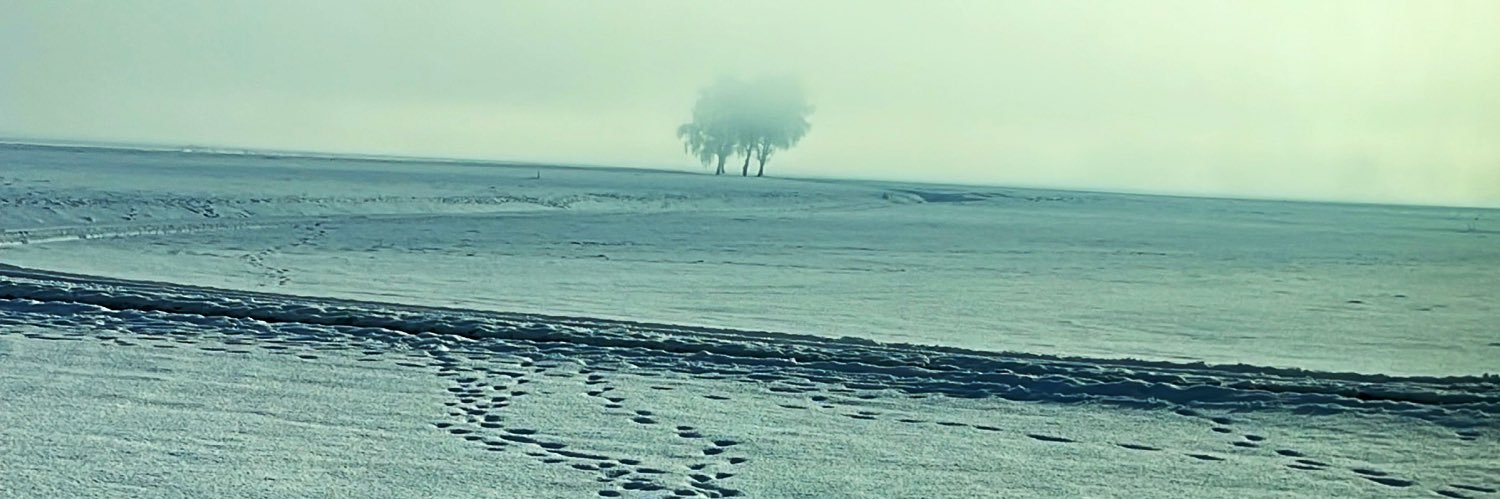 YonatanAkriv's profile banner image
