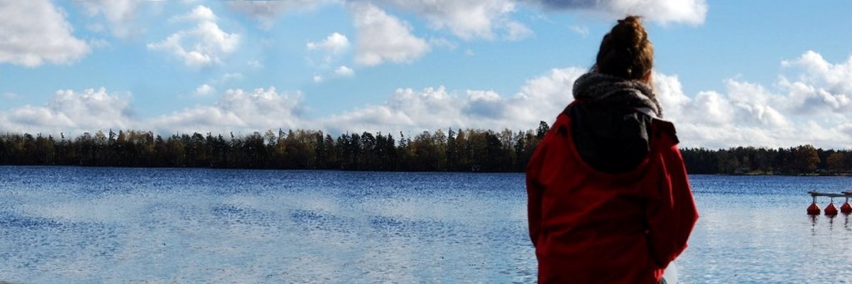 Olly von Steiff banner