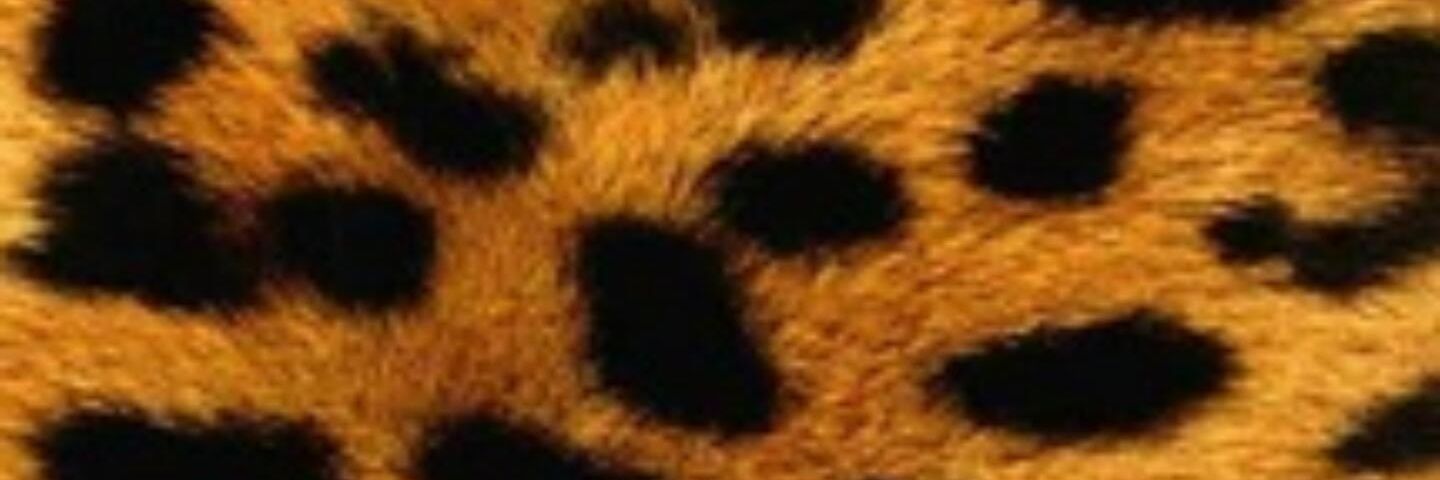 NatzS04's profile banner image