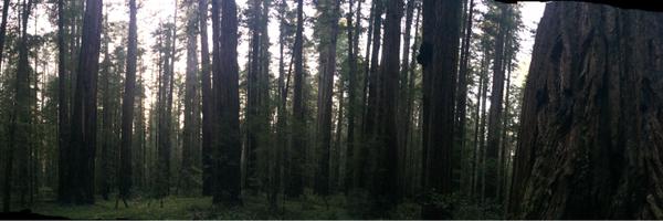 djBeDelicious Profile Banner