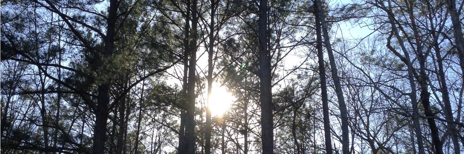 WildNWackyGG's profile banner image