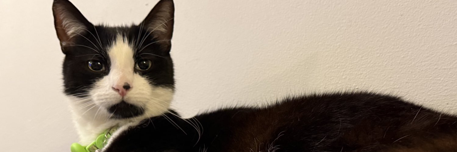 _SansPeur's profile banner image