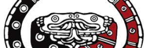 CNI México's banner