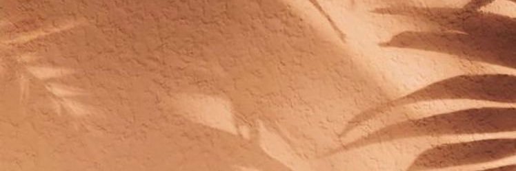boredntrovert's profile banner image