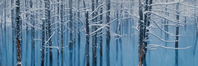 cold_vii's profile banner image