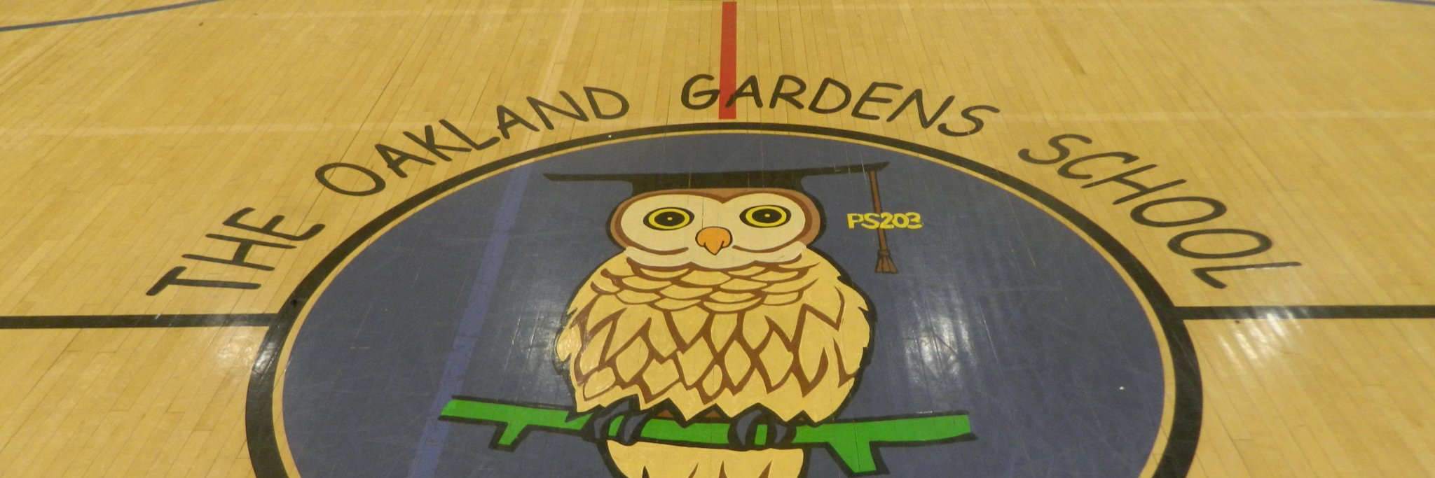 PS 203Q banner