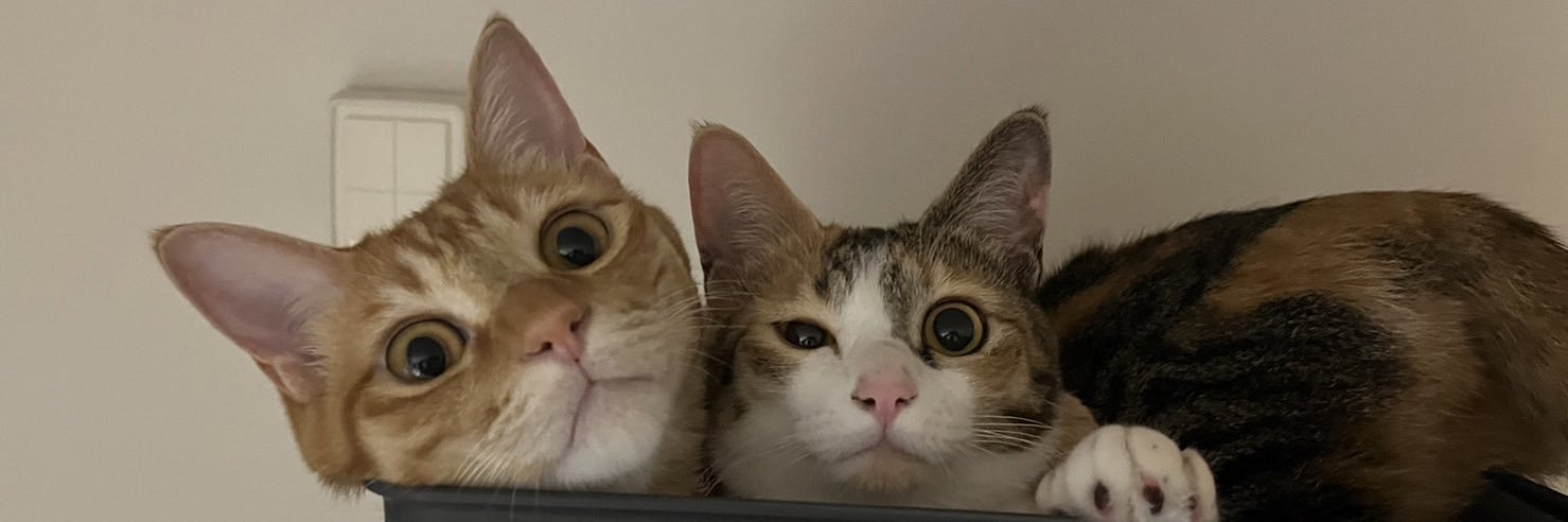 眞暢（まさのぶ） banner