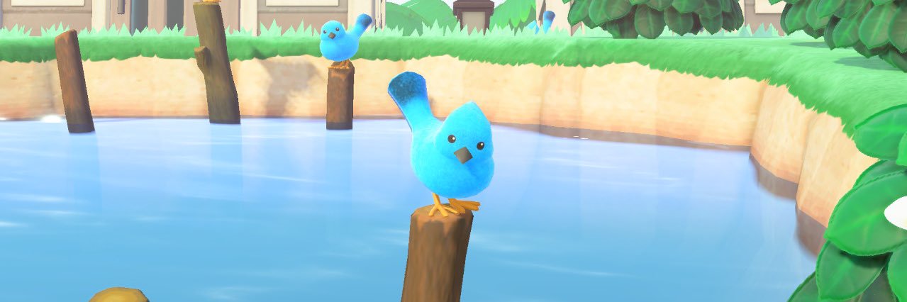 omote_taro's profile banner image