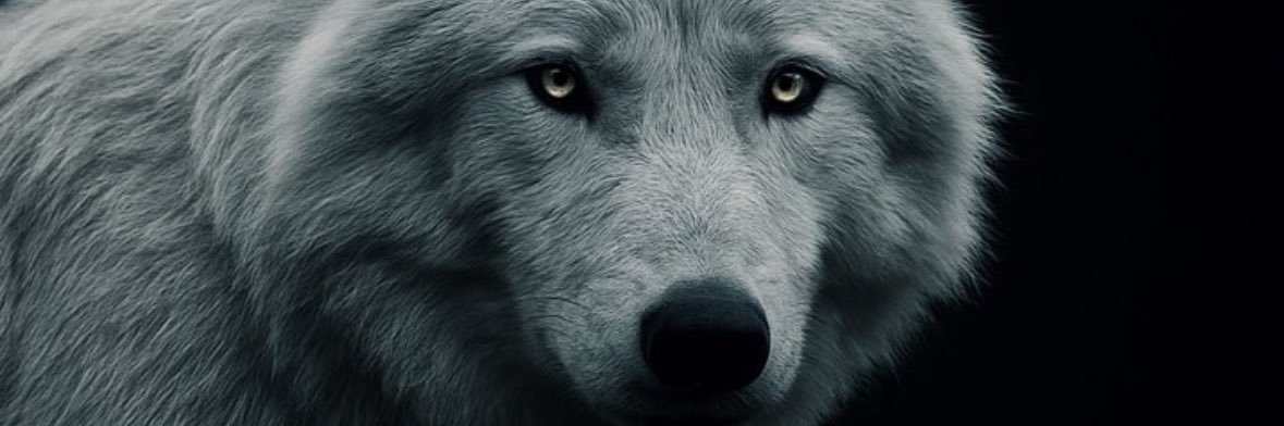 bck_53's profile banner image