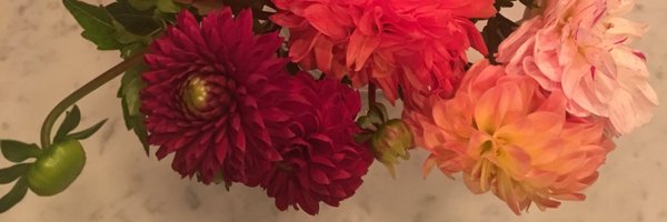 ShailRawalMD Profile Banner