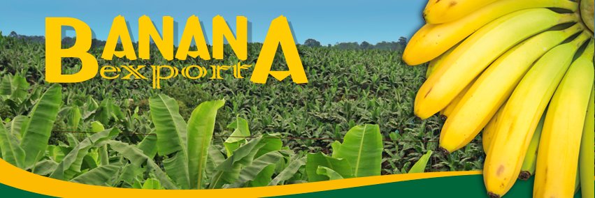 Banana Export banner