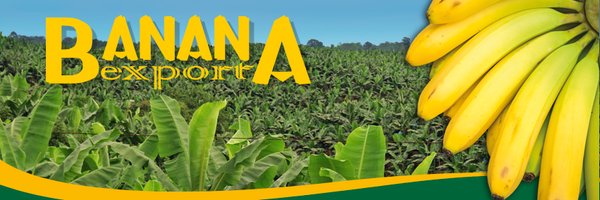 bananaexport Profile Banner