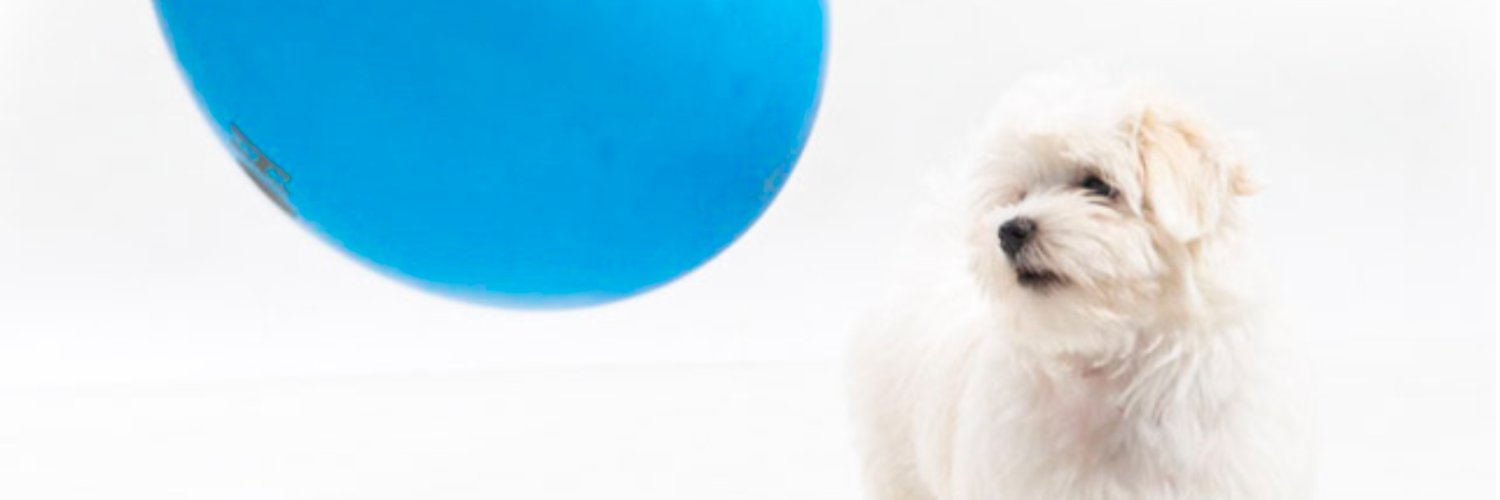 elenirc_'s profile banner image