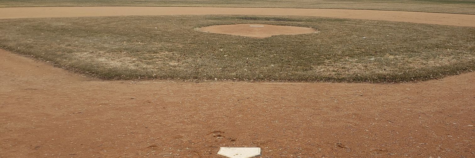 A guy who likes baseball banner