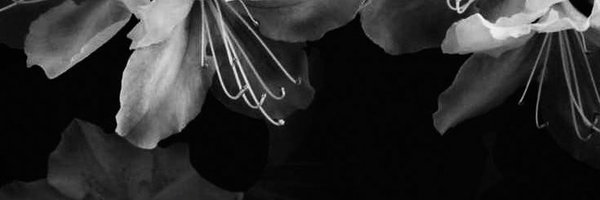 RustedBloom Profile Banner