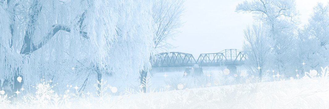 Nancy Hartling banner