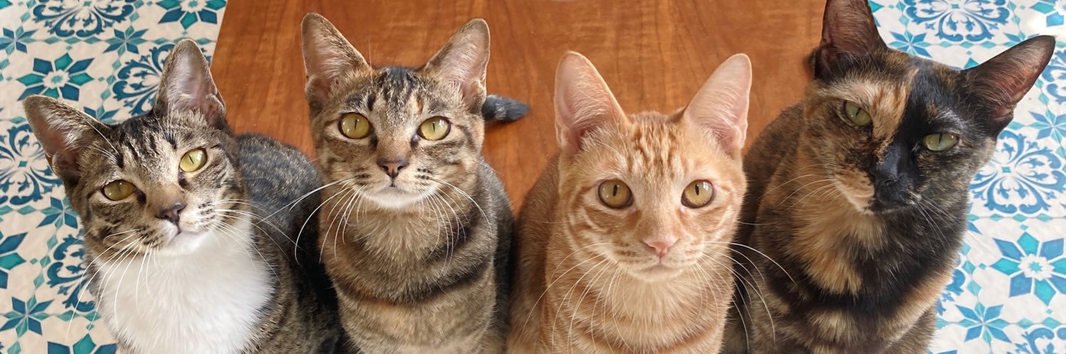 piscesbcat's profile banner image