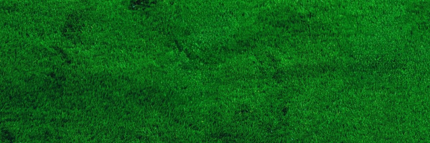 Sunatshi's profile banner image