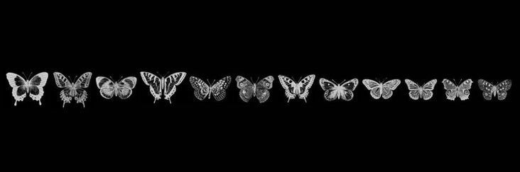 loonighteu's profile banner image