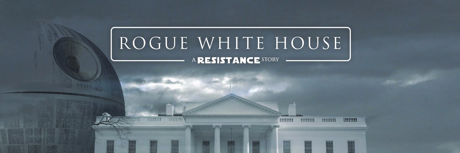 Rogue White House banner