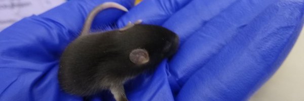 Deepanjali25 Profile Banner