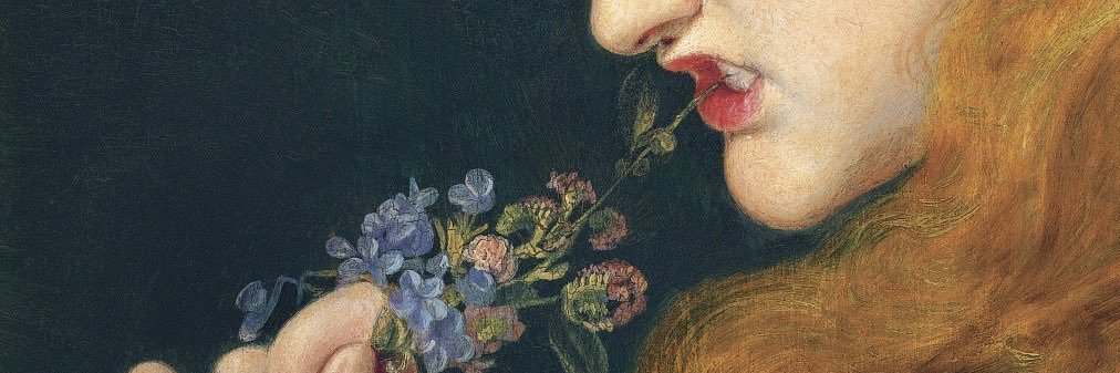 cannabeaut's profile banner image