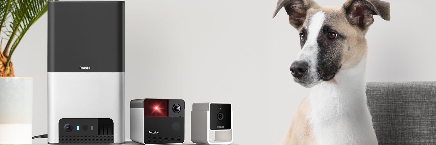 Petcube banner
