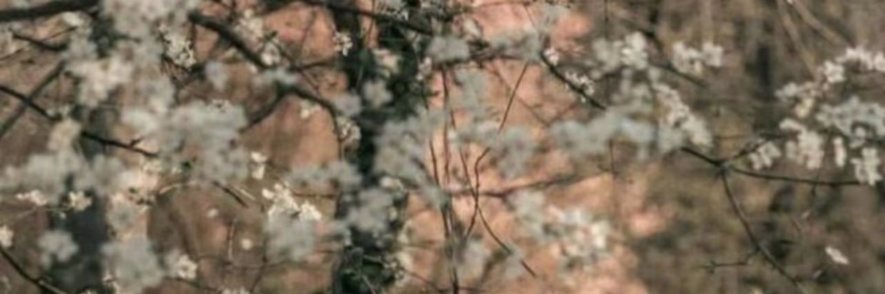 na5011's profile banner image