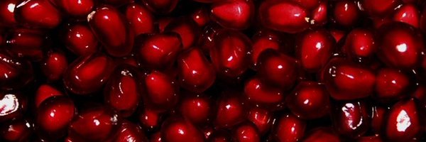 BelPlasmawolf Profile Banner
