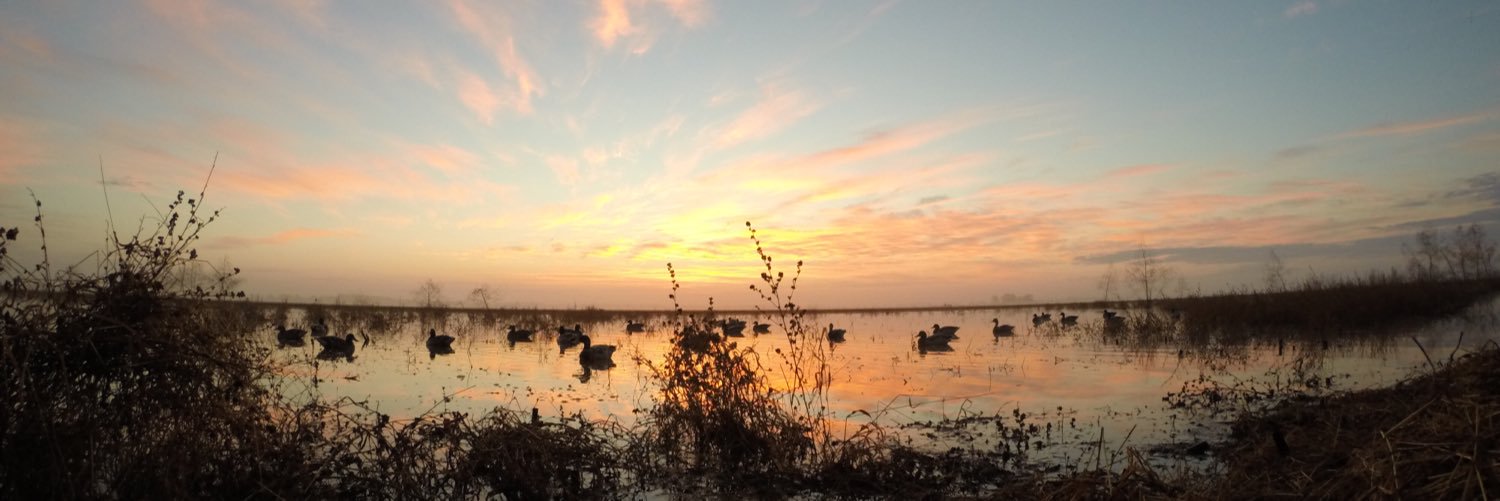 Caleb Rutledge banner