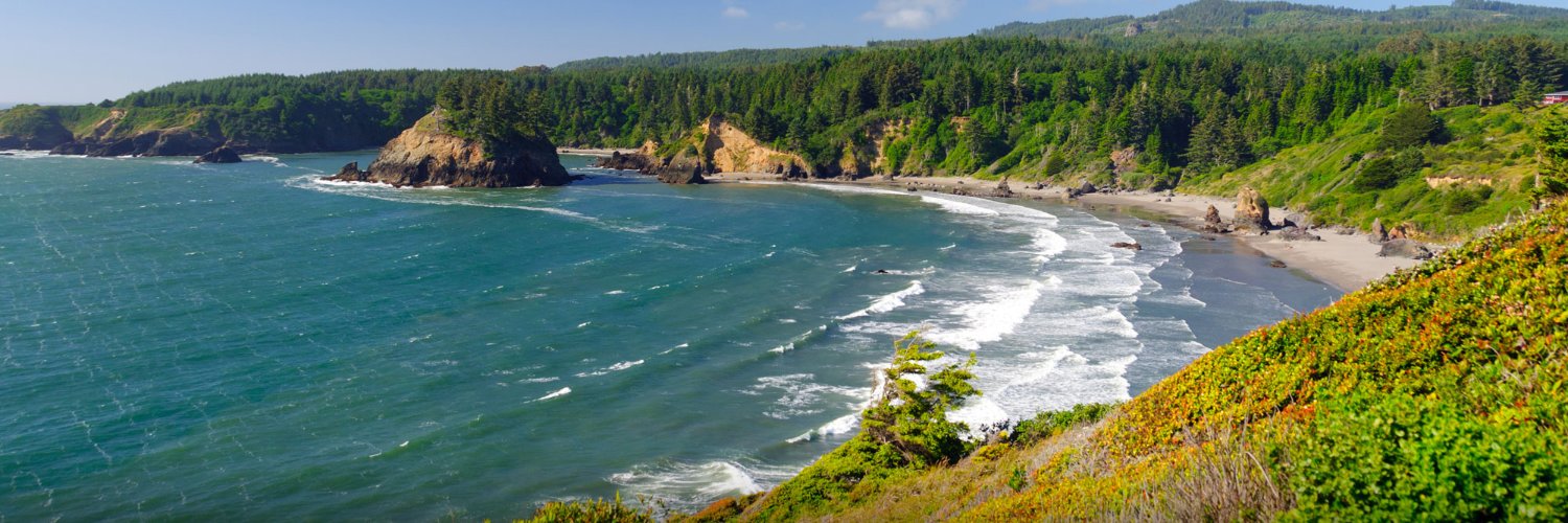 NorthCoastDCSS's profile banner image