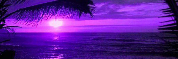 AlicePaillereau's profile banner image