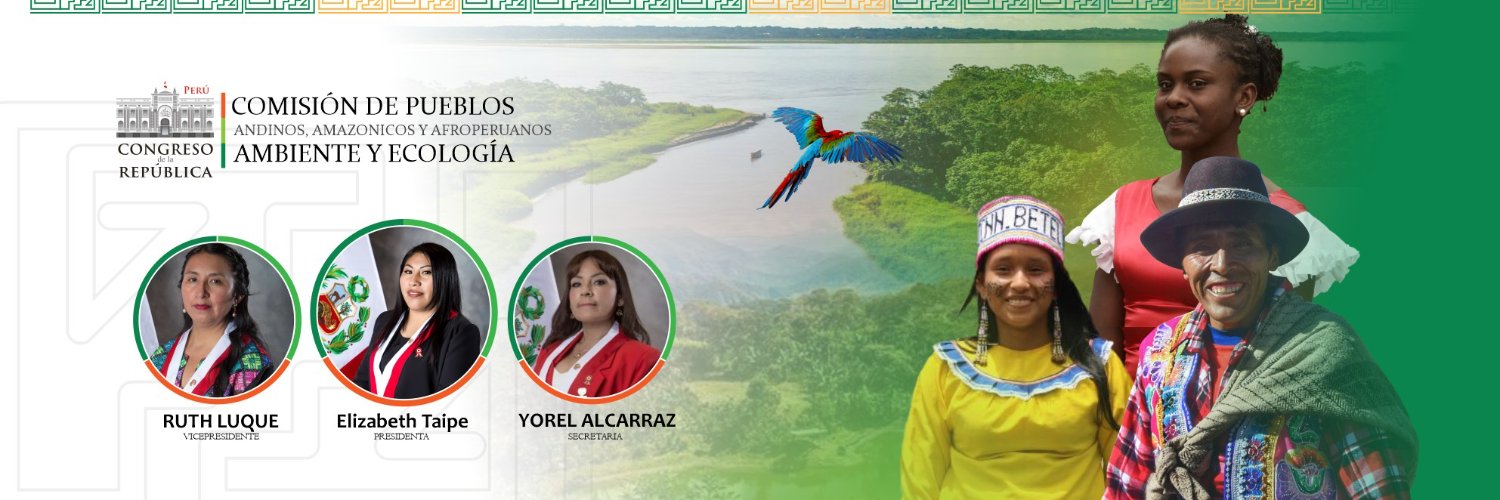 Comisión Pueblos Andinos, Ambiente y Ecología banner