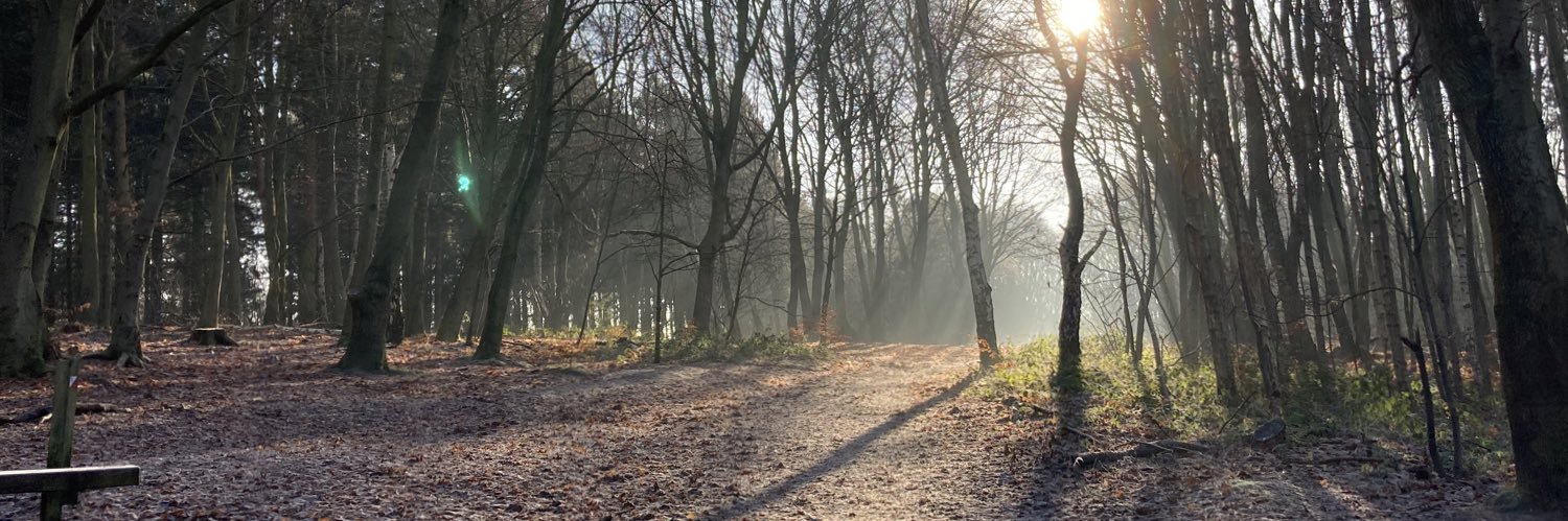 James Manifield banner