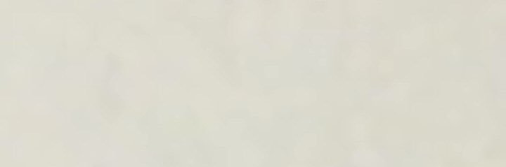nahawaokL's profile banner image